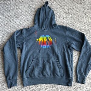 Phish dry goods blue Gray Hoodie with Colorful design